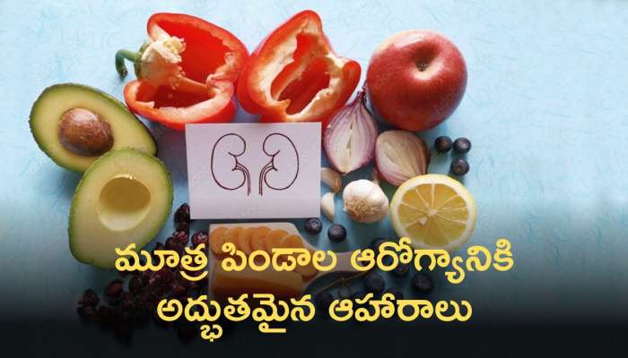  Kidney Food Health: మూత్రపిండాలకు రక్షణ కవచం... అద్భుత ఆహారాలు!