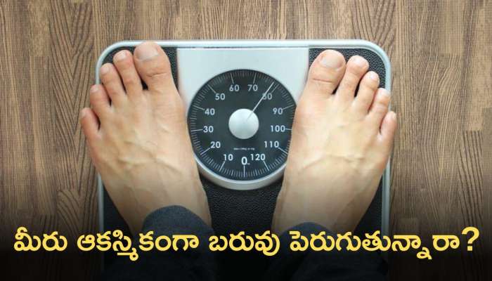 Weight Gain: మీరు ఆకస్మికంగా బరువు పెరుగుతున్నారా? కారణాలు ఇవే.. !