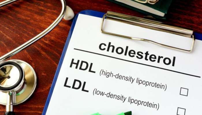 Cholesterol: మంచి కొలెస్ట్రాల్ గురించి కొన్ని విషయాలు