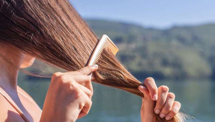Hair Care Tips: వేసవిలో విపరీతంగా జుట్టు రాలుతోందా? నిపుణులు సూచించిన చిట్కాలు ఇవే