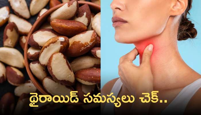 Brazil Nuts Benefits: ఈ నట్స్‌తో థైరాయిడ్ సమస్యలు చెక్‌.. అది ఎలాగో తెలుసా!