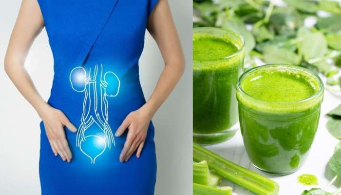 Spinach Juice: పాలకూర జ్యూస్‌.. తయారు చేసుకోవడం ఎంతో సులభం!