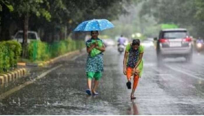 TS Weather Forecast: తెలంగాణలోని ఈ జిల్లాలకు ఎల్లో అలర్ట్ జారీ, మరో 5 రోజులు మోస్తరు నుంచి భారీ వర్షాలు 