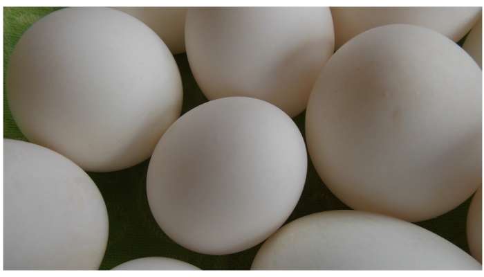 Duck Eggs Benefits: బాతుగుడ్డు వారానికి ఒకటి తింటే మీ శరీరంలో జరిగే మార్పు ఏంటో తెలుసా?