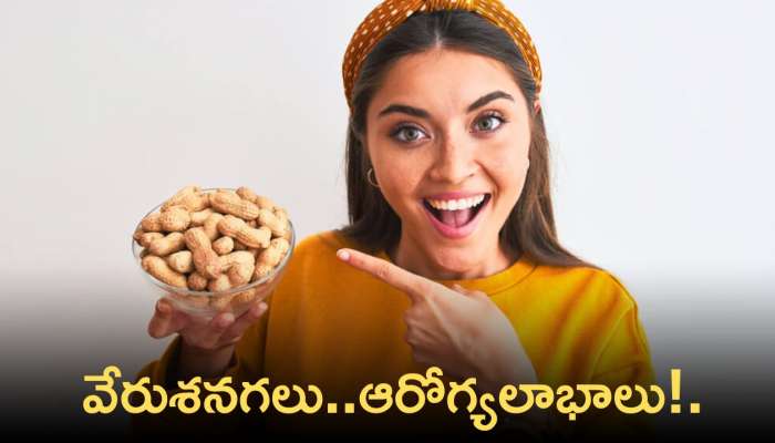  Ground Nut Uses: వేరుశనగలు తీసుకోవడం వల్ల ఈ సమస్యలు చెక్‌ పెట్టవచ్చు! దీని వల్ల కలిగే లాభాలు ఇవే!