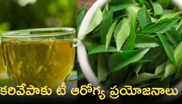 Curry Leaves Tea:  కరివేపాకు టీ ఆరోగ్య ప్రయోజనాలు ఏంటో మీకు తెలుసా..?