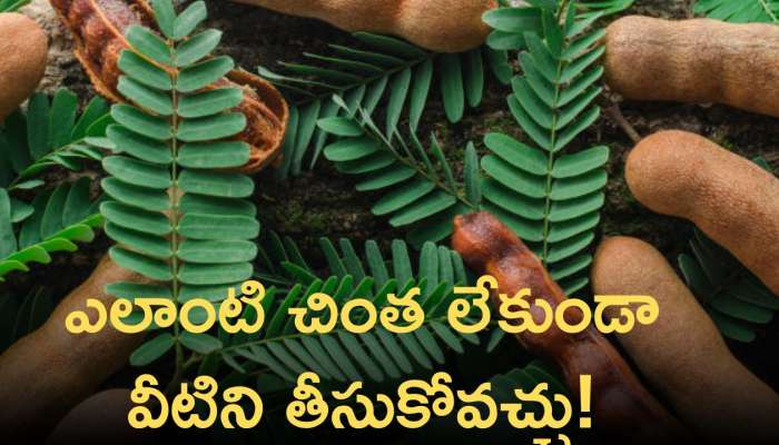 Tamarind Leaves Benefits: చింత చిగురు ఆకులు తీసుకోవడం వల్ల ఆరోగ్యం పట్ల ఎలాంటి చింత ఉండదు!!