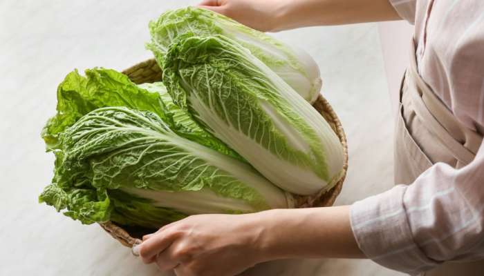  Cabbage Benefits: క్యాబేజీ తినడం వల్ల కలిగే అద్భుతమైన లాభాలు ఇవే!