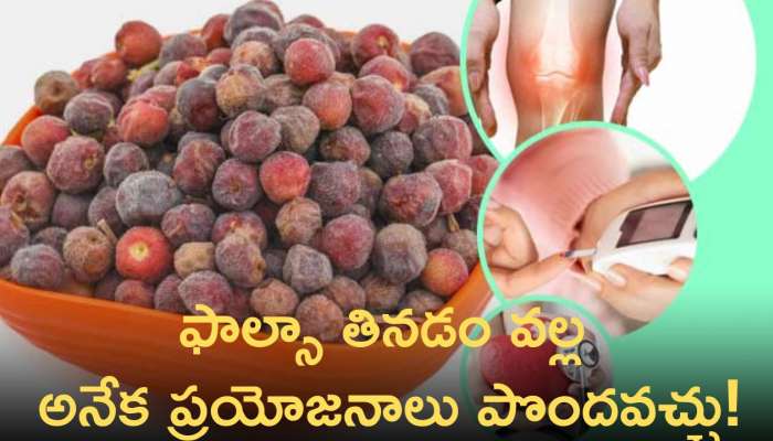 Fhalsa Juice: వేసవిలో ఈ పండుతో తయారు చేసిన జ్యూస్‌.. ఔషధంతో సమానం!