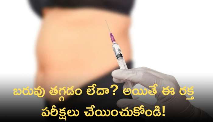 Weight Gain: బరువు తగ్గడం లేదా? అయితే ఈ రక్త పరీక్షలు చేయించుకోండి!