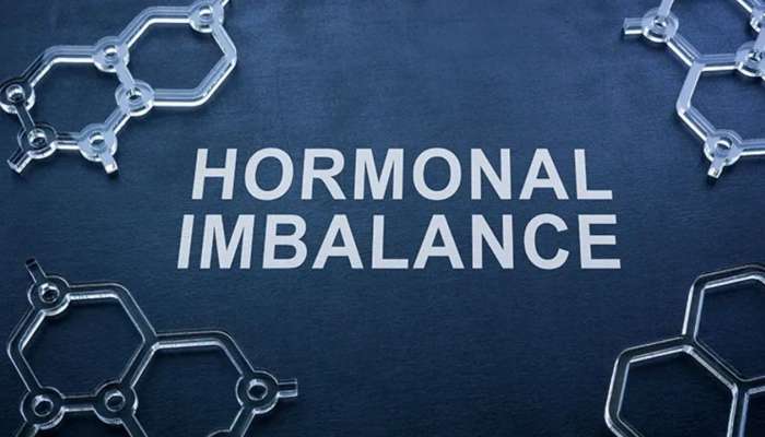 Hormone Balancing Food: హార్మోన్ల ఇన్‌‌‌బ్యాలెన్స్‌తో బాధపడుతున్నారా..? ఈ పదార్థాలతో బ్యాలెన్స్ చేసుకోండి