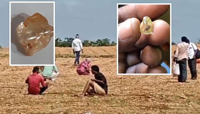 Diamonds Found: ఏపీలో వజ్రాల పంట పండుతోంది.. 3 రోజుల్లో కోట్ల విలువైన వజ్రాలు లభ్యం