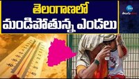 Forecast: తెలంగాణలో ఉగ్రరూపం దాల్చనున్న ఎండలు.. ఢిల్లీ ఎండలపై కేంద్ర మంత్రి ప్రకటన