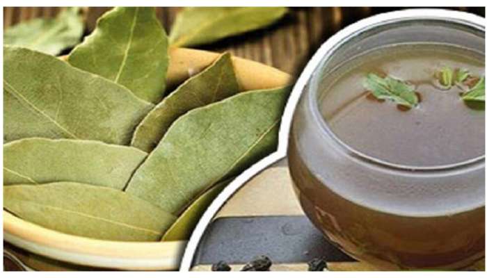 Bay Leaf Water: బిర్యానీ ఆకు కషాయం.. వంద రోగాలను నయం చేసే ఆయుర్వేద పానీయం..