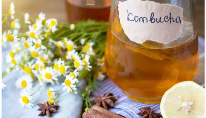 Kombucha Tea: ఈ టీ తాగితే బెల్లీ ఫ్యాట్, అధిక బరువు సమస్యలకు చెక్‌!  