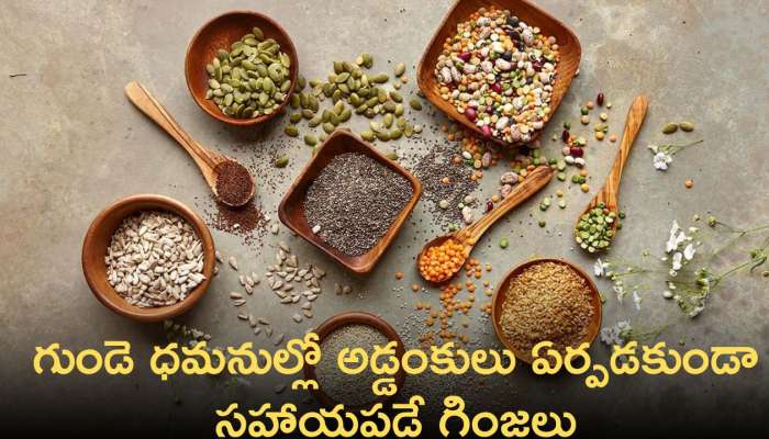 Top 6 Healthiest Seeds: గుండె ధమనుల్లో అడ్డంకులు ఏర్పడకుండా సహాయపడే గింజలు ఇవే..!