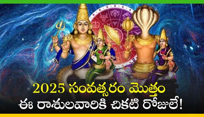 Ketu-Rahu Transit 2024: రాహువు, కేతువు సంచారంతో 2025 సంవత్సరం మొత్తం ఈ రాశులవారికి చికటి రోజులే!
