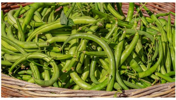 Beans Benefits: బీన్స్‌ తింటే ఆ మందులు వాడాల్సిన అవసరంలేదు.. మీకు తెలియని ప్రయోజనాలు కూడా పుష్కలం..