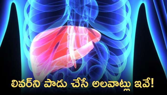 Liver Damage: మీ లివర్‌ను తీవ్రంగా దెబ్బతీసే 10 అలవాట్లు ఏంటో తెలుసా?