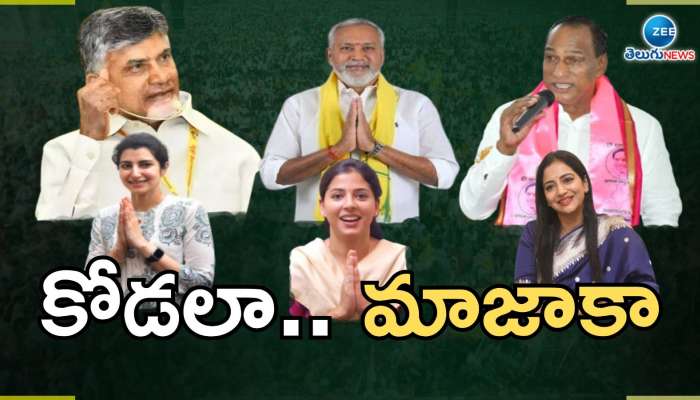 Dauther In Laws: మామల విజయం వెనుక కోడళ్లు.. ఎన్నికల్లో స్పెషల్ అట్రాక్షన్‌గా ఆ ముగ్గురు..!