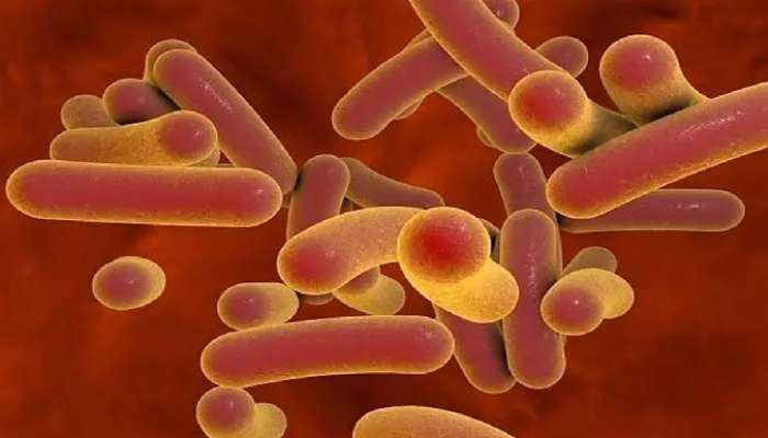 Flesh Eating Bacteria: 48 గంటల్లో ప్రాణాలు తీసేస్తున్న వ్యాధి, జపాన్‌లో ఆందోళన