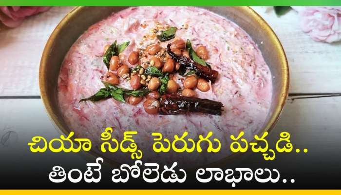 Chia Seeds Perugu Pachadi: చియా సీడ్స్‌ పెరుగు పచ్చడి.. తింటే బోలెడు లాభాలు..