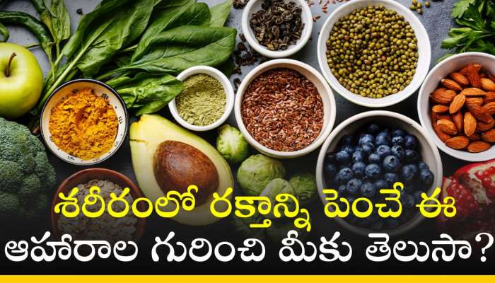 Blood Increase Foods: శరీరంలో రక్తాన్ని పెంచే ఈ ఆహారాల గురించి మీకు తెలుసా? 