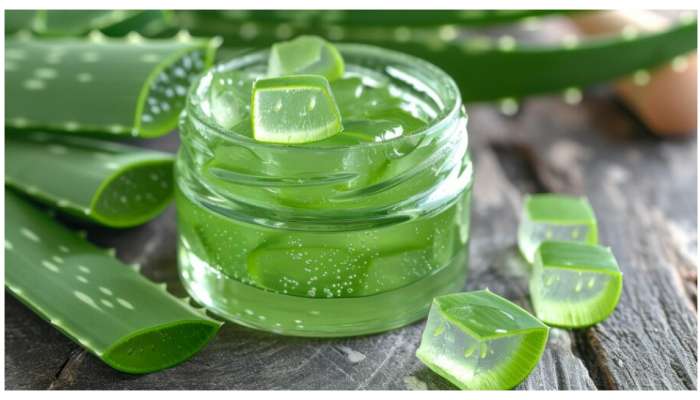 Aloe Vera Hair Mask: ఈ మాస్క్‌ ఒక్కటి జుట్టుకు పట్టించారంటే వద్దన్నా ఆరోగ్యంగా పెరుగుతూనే ఉంటుంది..