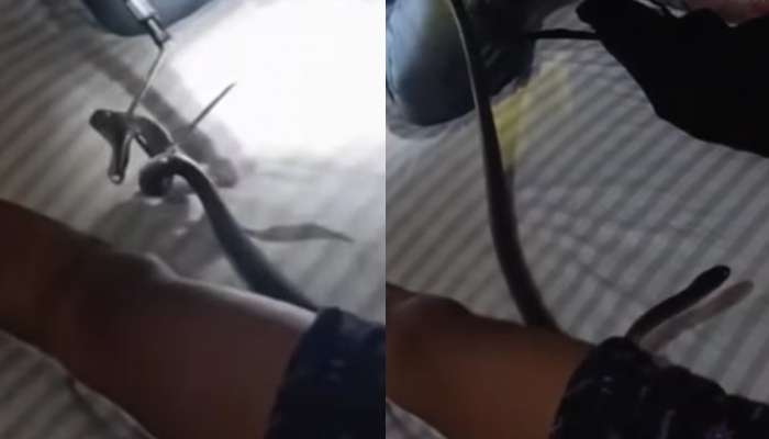Snake Viral Video: కమ్మని నిద్రలో ఉండగా లోదుస్తుల్లోకి దూరిపోయిన పాము.. వీడియో వైరల్..