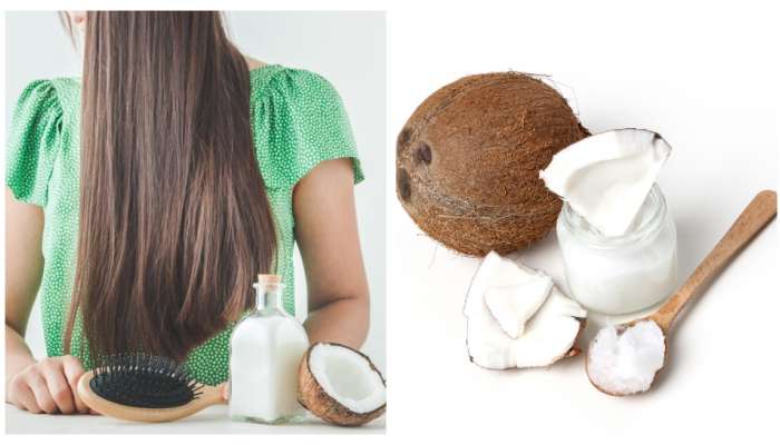Coconut Milk Hair Mask: కొబ్బరిపాలతో పొడవాటి, మందపాటి జుట్టు.. ఇలా వాడితే మ్యాజిక్‌ చూస్తారు..