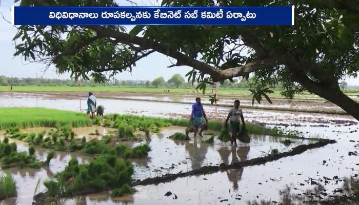 Telangana Govt Sub Committee For Rythu Bharosa To Farmers Rv