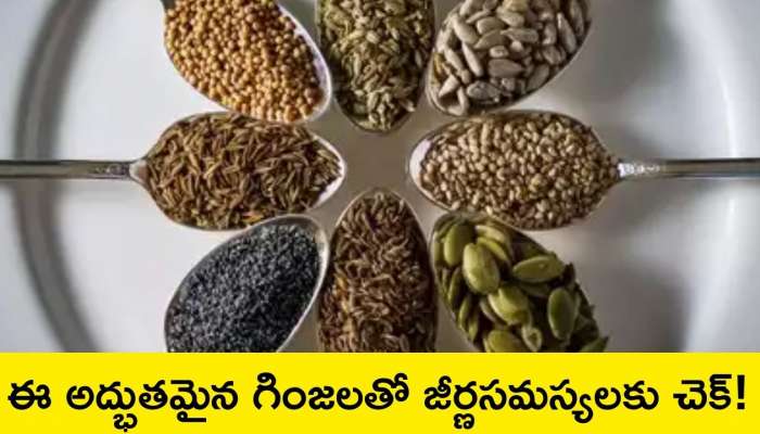 Healthy Seeds: జీర్ణ సమస్యలకు ఈ అద్భుతమైన గింజలతో  చెక్! 