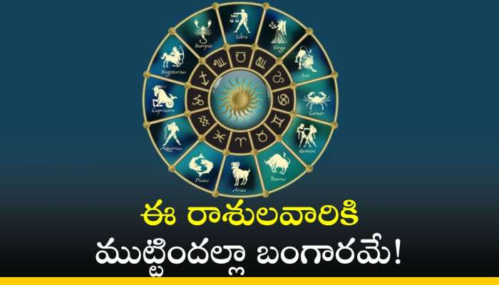 Rahu Favourite Zodiac Sign: రాహువు ప్రభావంతో ఈ రాశులవారికి ముట్టిందల్లా బంగారమే!