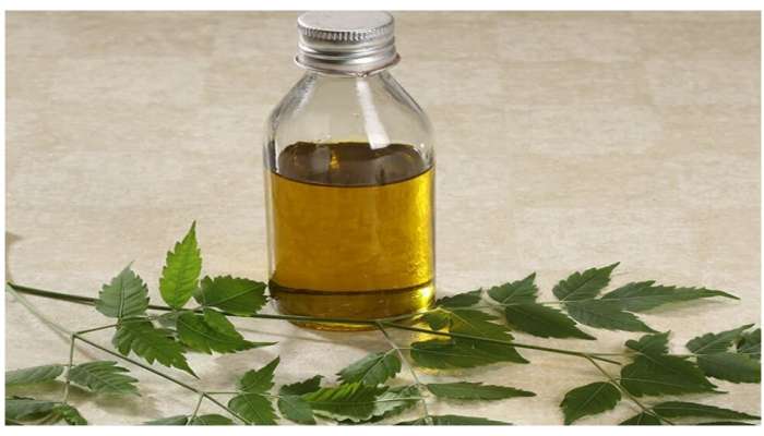 Neem Oil Benefits: వేపనూనె జుట్టుకు అప్లై చేస్తున్నారా? ఏం జరుగుతుందో తెలుసా?