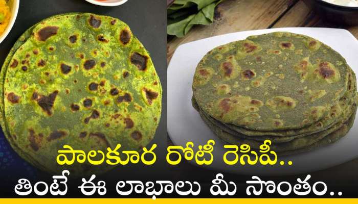 Palak Roti: పాలకూర రోటీ రెసిపీ.. తింటే ఈ లాభాలు మీ సొంతం..