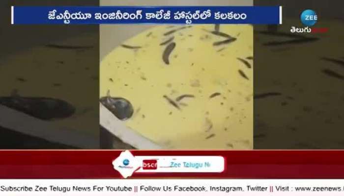 Rat in Tiffen Chutney in jntu college hyderabad video goes viral pa