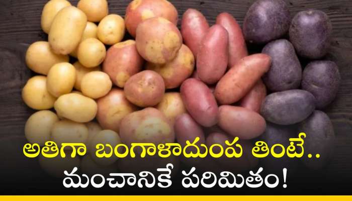 Potato Side Effects: అతిగా బంగాళాదుంప తింటే.. మంచానికే పరిమితం!