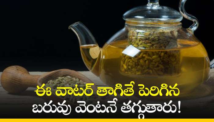 Fennel Seeds Water Benefits: ఈ వాటర్‌ తాగితే పెరిగిన బరువు వెంటనే తగ్గుతారు! 