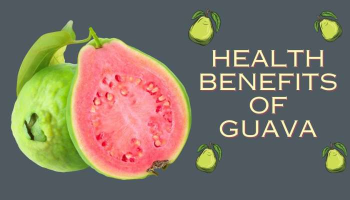 Guava Benefits: జామకాయలను డయాబెటిస్‌ వ్యాధిగ్రస్తులు  తింటే ఏమవుతుంది?