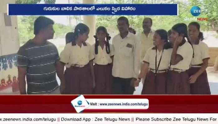 Students Bitten By Rats: Rat Bites To Girls In Govt Residential School In Medak 