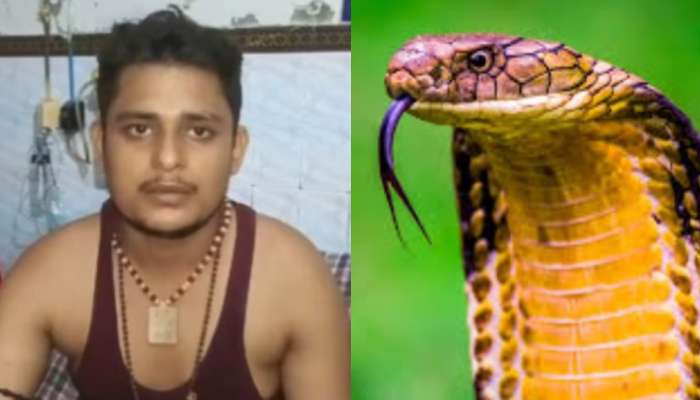 Snake bite: పాముపగ నిజమా..?..  40 రోజుల్లో 7 సార్లు కాటు.. 9 వ సారి చస్తానంటూన్న వికాస్ దూబే.. మిస్టరీగా మారిన ఘటన..