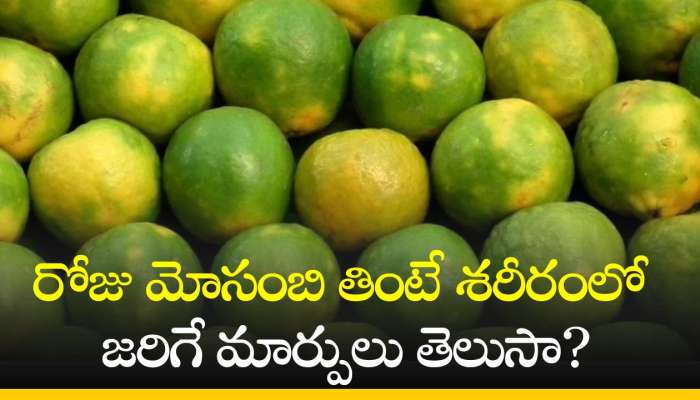 Mosambi Benefits: రోజు మోసంబి తింటే శరీరంలో జరిగే మార్పులు తెలుసా?