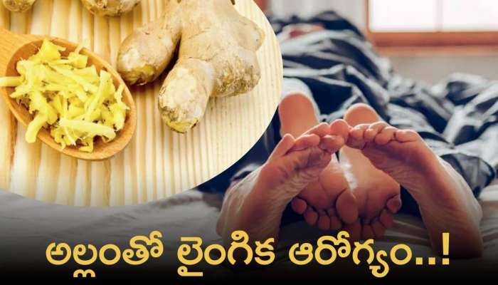 Ginger Health Benefits: పురుషుల లైంగిక ఆరోగ్యానికి అల్లం మంచిదేనా ? ఈ విషయాలను తెలుసుకోండి.. 