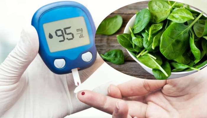 Spinach Health Benefits: షుగర్ పేషంట్స్ పాలకూర తినొచ్చా? కలిగే లాభాలు ఇవే