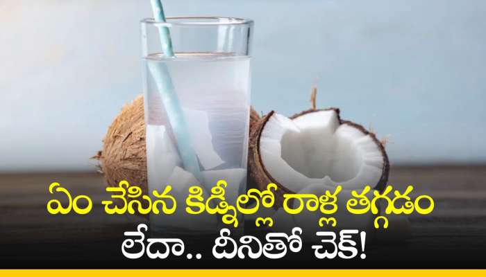 Coconut Water Benefits: ఏం చేసిన కిడ్నీల్లో రాళ్ల తగ్గడం లేదా.. దీనితో చెక్‌!