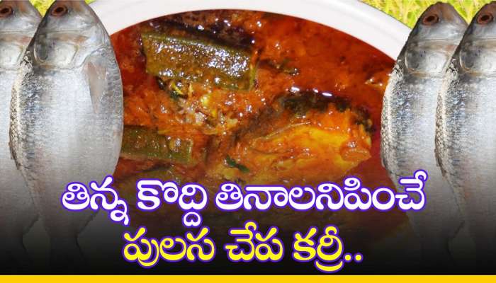 Pulasa Fish Curry: తిన్న కొద్ది తినాలనిపించే పులస చేప కర్రీ.. సింపుల్‌గా రెడీ చేయండి!