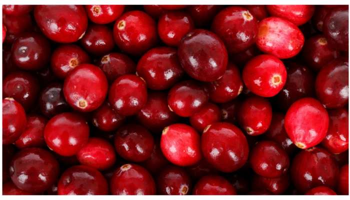 Cranberries Benefits: క్రాన్బెర్రీస్‌ ఆరోగ్య ప్రయోజనాలు తెలిస్తే బిత్తరపోతారు.. మీరూ  తెలుసుకోండి..