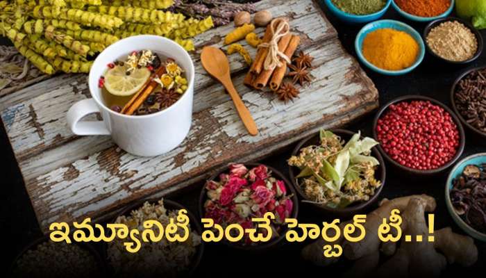 Herbal Tea: ఈ హెర్బ‌ల్ టీలతో ఇమ్యూనిటీ పెరుగుతుంది..మీరు ట్రై చేయండి!