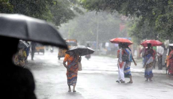 IMD Red Alert: ఏపీలో రానున్న 24 గంటలు భారీ వర్షాలు, ఆ రెండు జిల్లాలకు రెడ్ అలర్ట్ జారీ