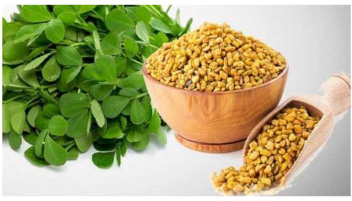 Fenugreek: ప్రతిరోజూ మెంతులు తీసుకుంటున్నారా? మీ శరీరంలో ఏం జరుగుతుందో తెలుసా?